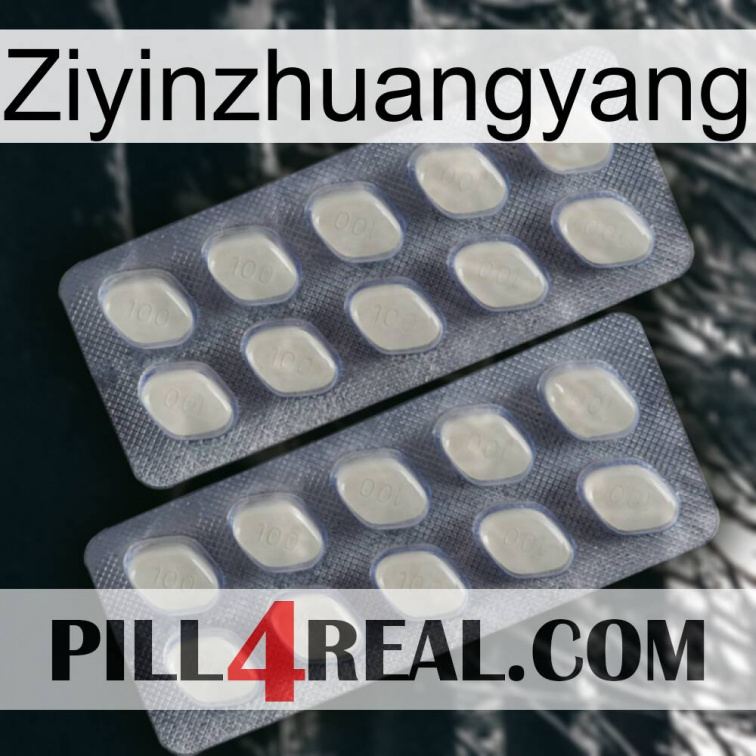 Ziyinzhuangyang 07